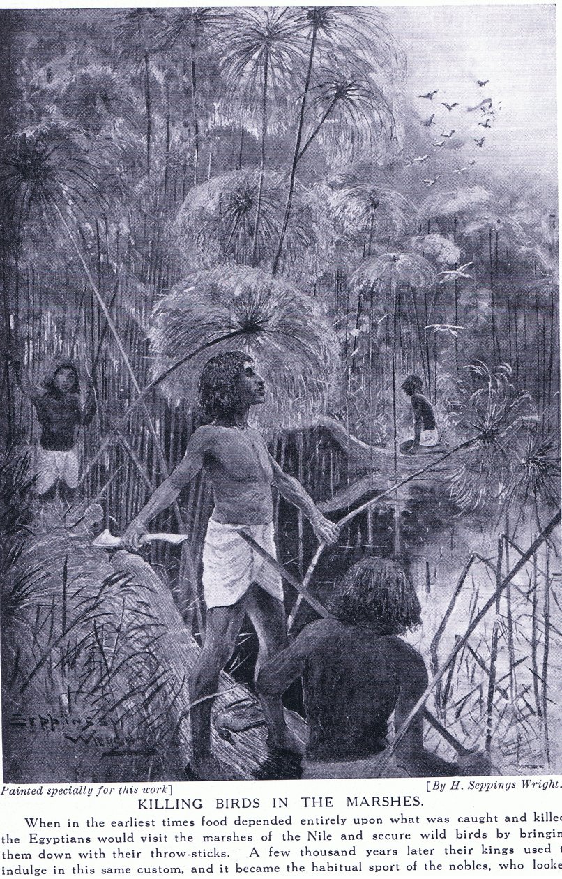 Vogeljagd in den Sümpfen, ca. 1920 von Henry Charles Seppings Wright