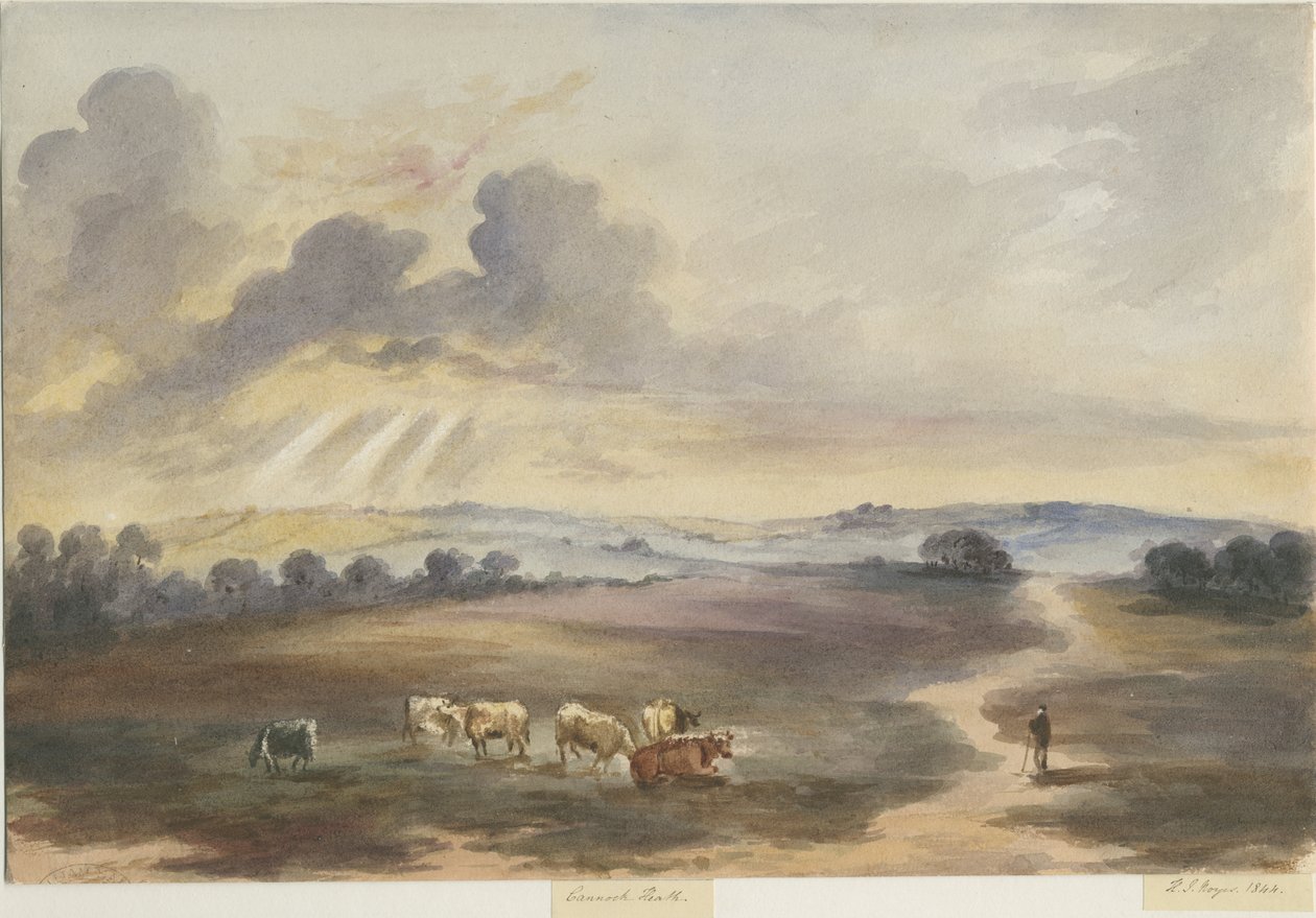 Cannock Chase - Heath: Aquarellmalerei von Henry James Noyes