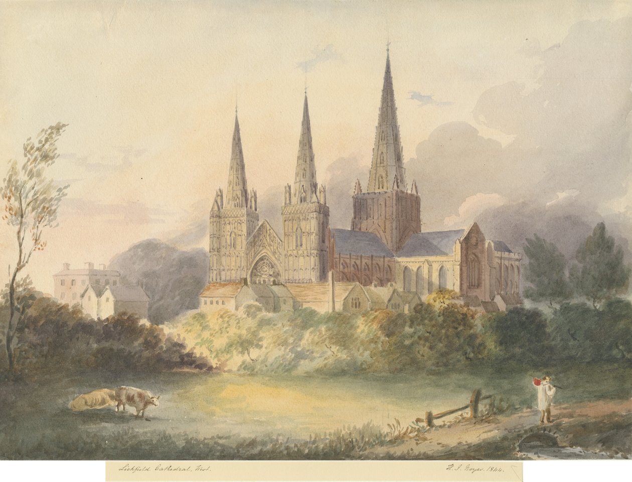 Lichfield Kathedrale - Westansicht von Henry James Noyes