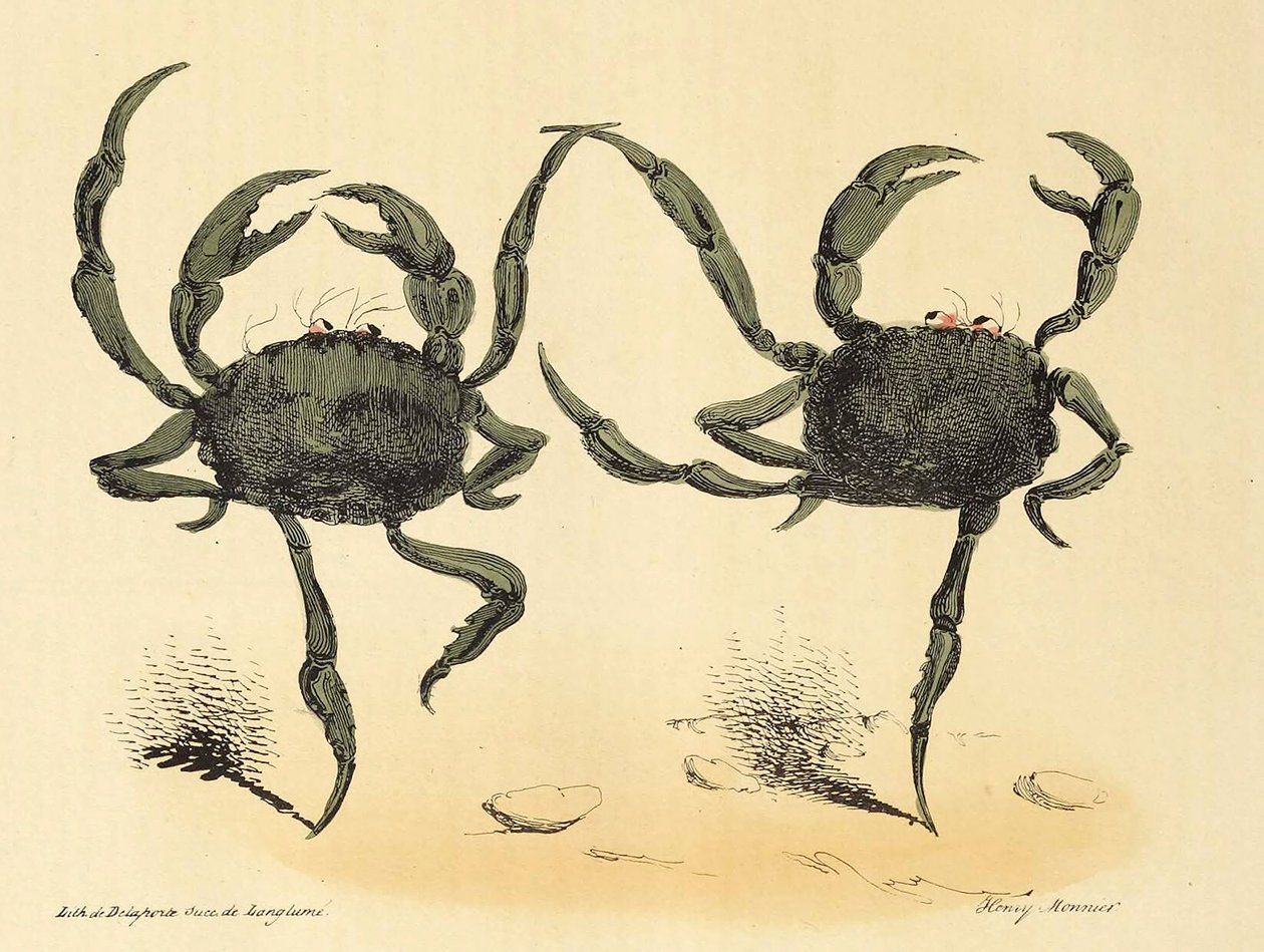 Danse Fantastique aus La Caricature, veröffentlicht 1831 Lithographie, 1831 von Henry Monnier
