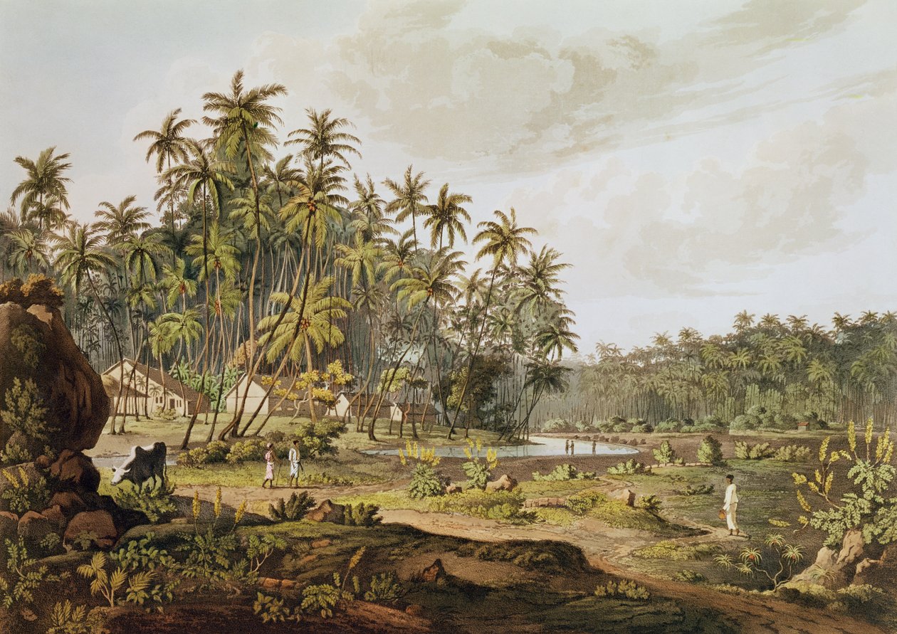 Ansicht in der Nähe von Point du Galle, Ceylon, graviert von Daniel Havell (1785-1826), veröffentlicht 1809 von Henry Salt