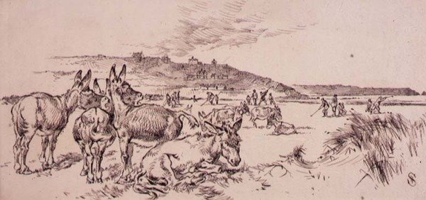 Esel auf dem Golfplatz, Illustration aus dem 