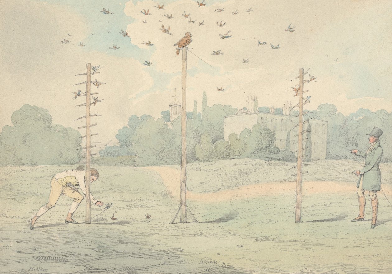 "Die Nationalen Sportarten Großbritanniens," 1821: Eulerei von Henry Thomas Alken
