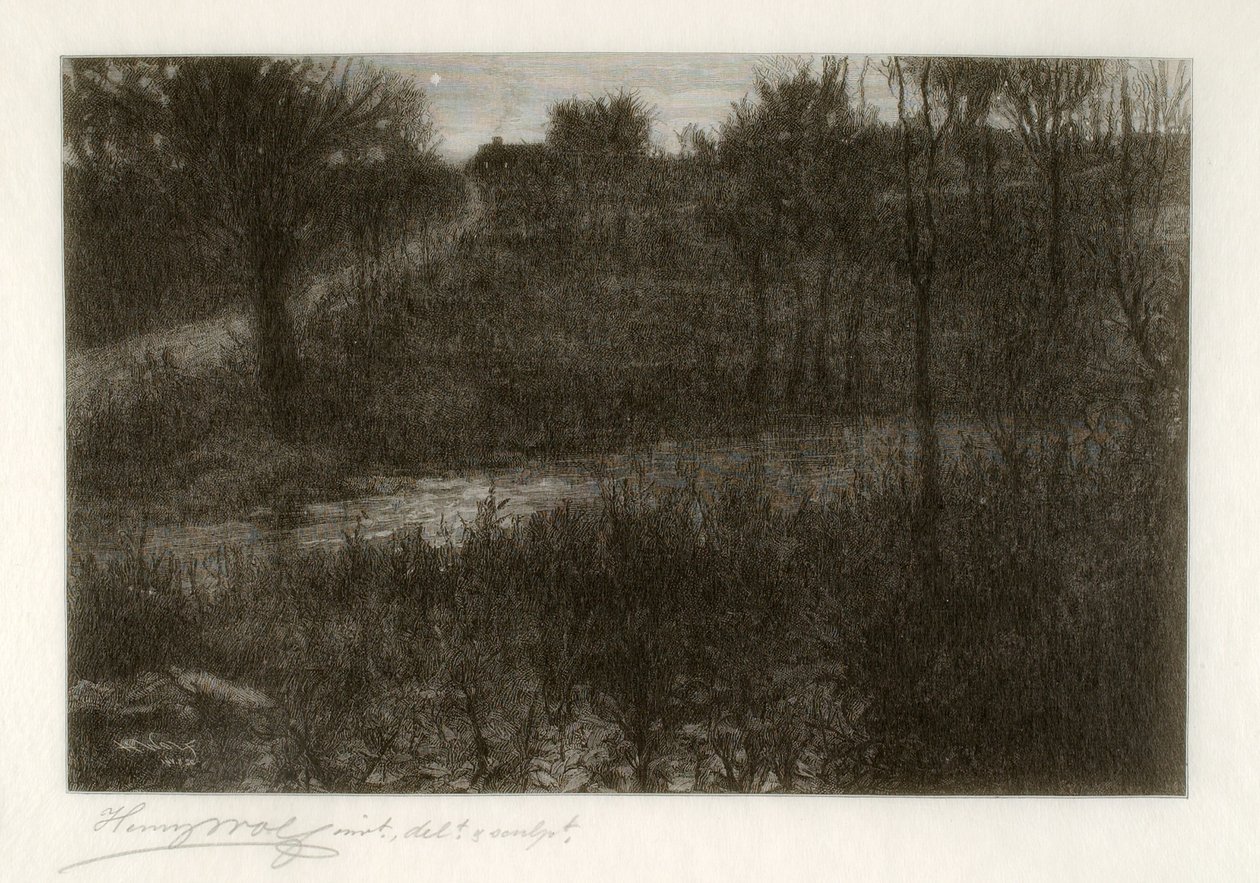 Der Abendstern (Motiv in den Catskills gefunden) von Henry Wolf