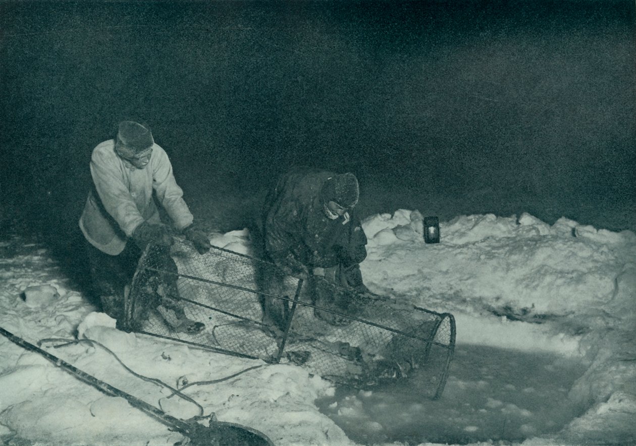 Dr. Atkinson und Clissold ziehen die Fischfalle hoch, 28. Mai 1911, 1913 von Herbert Ponting