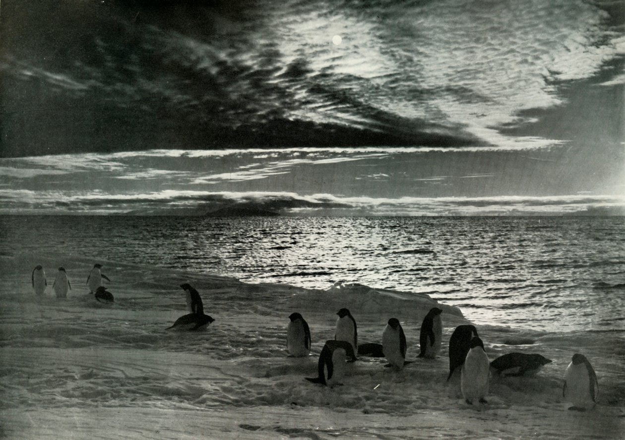 Die Mitternachtssonne im McMurdo-Sund, um 1910-1913, 1913 von Herbert Ponting