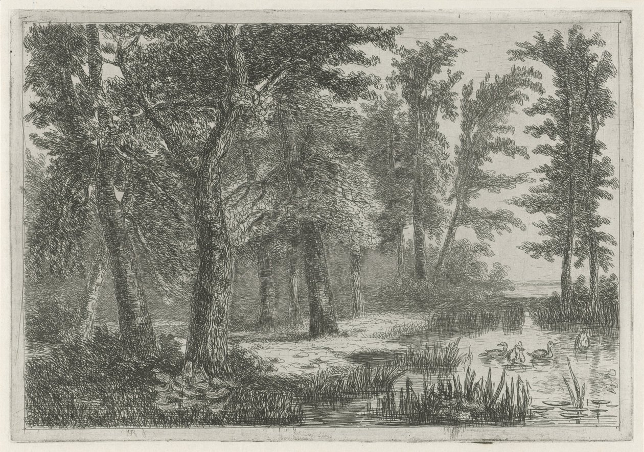 Waldlandschaft mit einem Teich und Enten von Hermanus Jan Hendrik van Rijkelijkhuysen