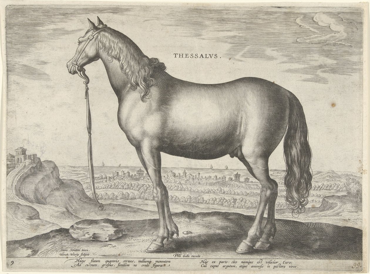Pferd aus Thessalien von Hieronymus Wierix