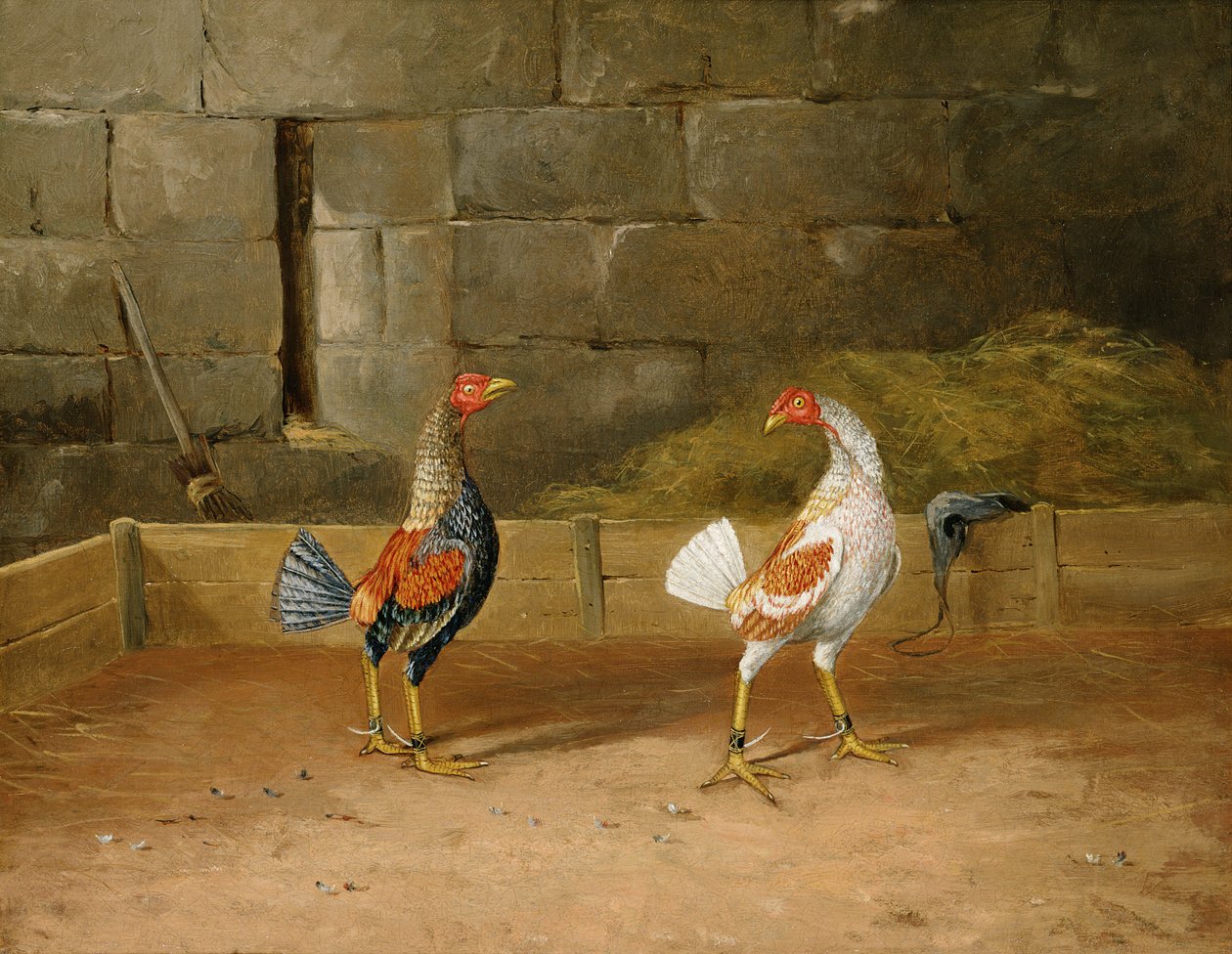 Die Herausforderung von Hilton L. Jnr. Pratt