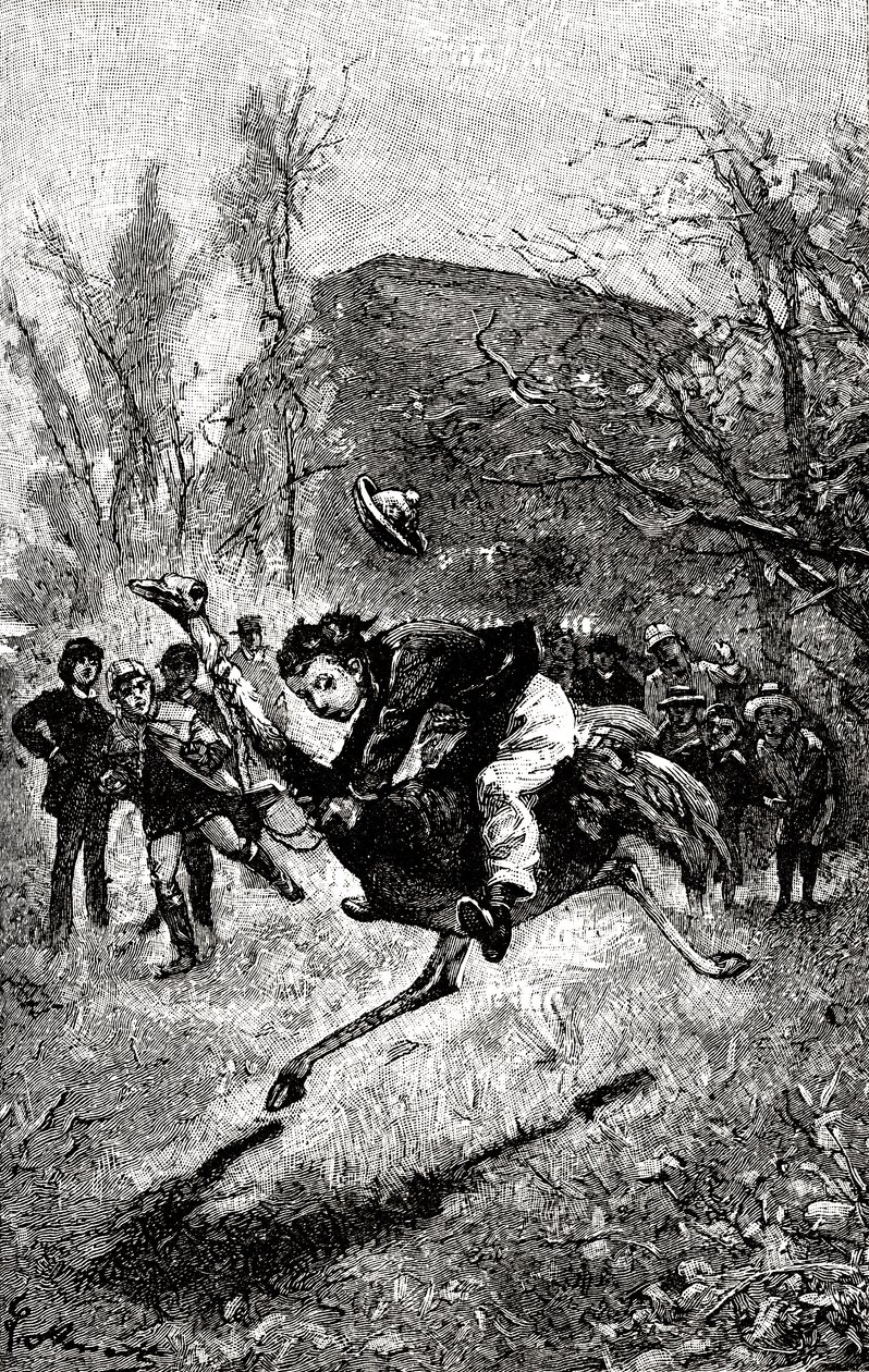 Der junge Service reitet auf einem Strauß. Gravur von Hippolyte Leon Benett