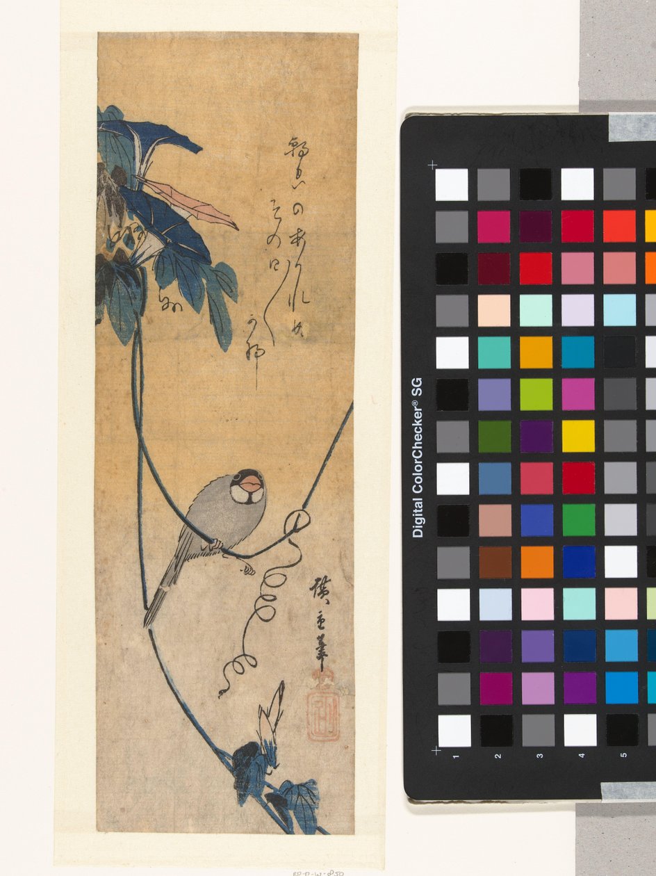 Vogel und blaue Winde von Hiroshige (I) , Utagawa