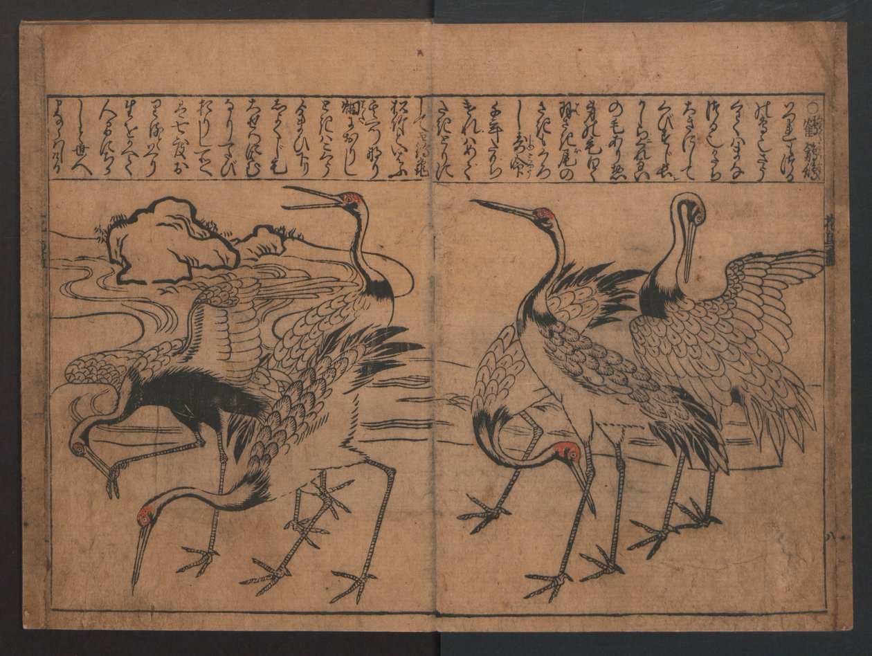 Illustrationen von Vögeln und Blumen (Kachō e-zukushi) von Hishikawa Moronobu