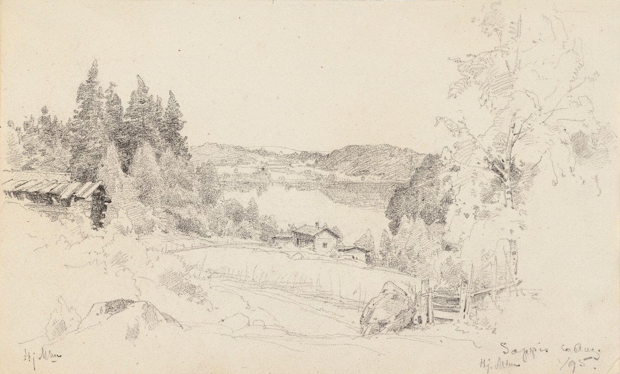 Seeblick von Sappee von Hjalmar Munsterhjelm