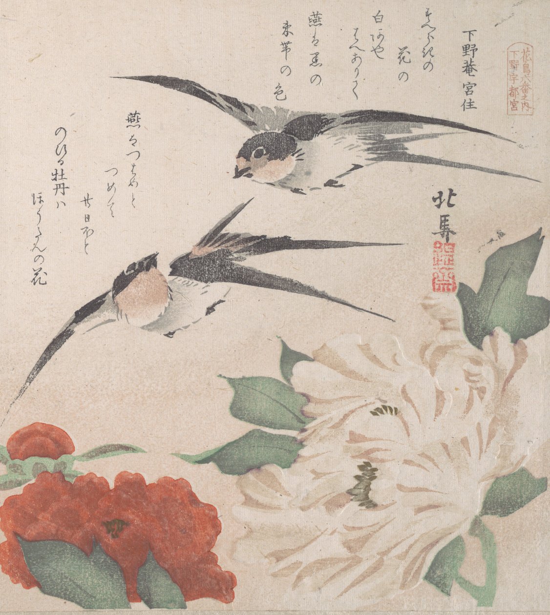 Sammlung Frühlingsregen Harusame shu, Bd. 3: Schwalben und Pfingstrosen, ca. 1820 von Hokuba