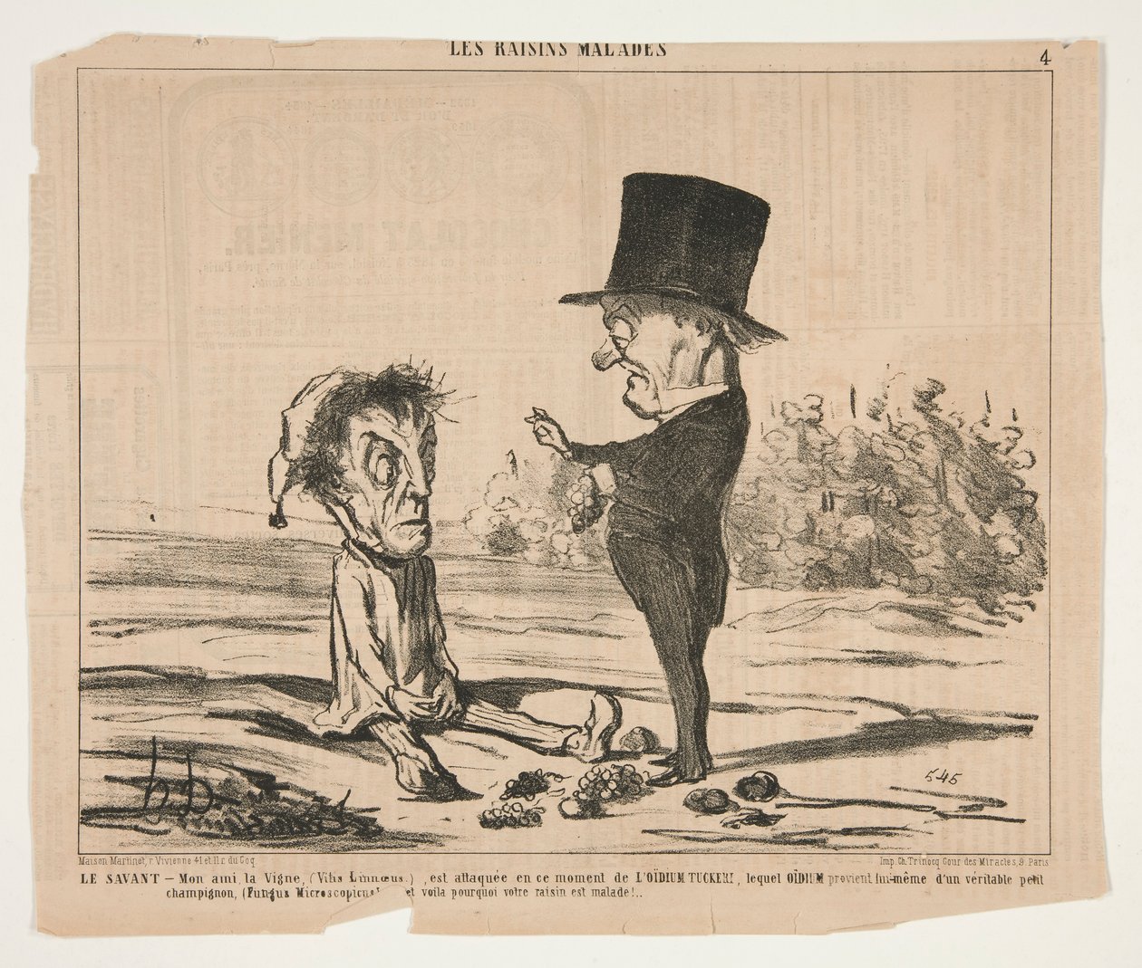 Der Gelehrte - Mein Freund, die Rebe (Vitis Linnoeus), wird gerade angegriffen von Honoré Daumier