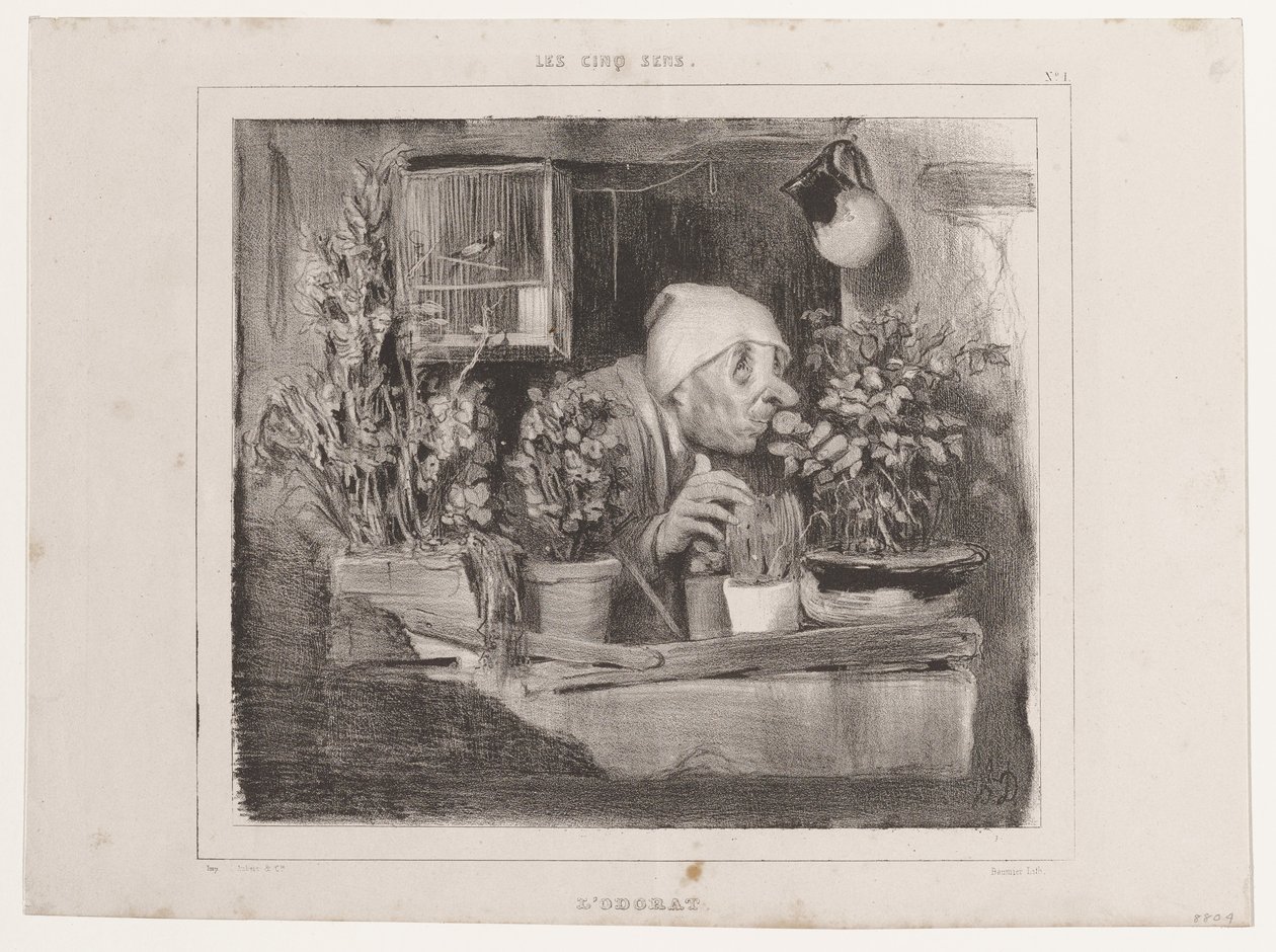 Der Geruchssinn (Die fünf Sinne), aus La Caricature von Honoré Daumier