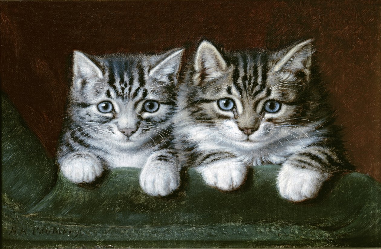 Zwei getigerte Kätzchen von Horatio Henry Couldery