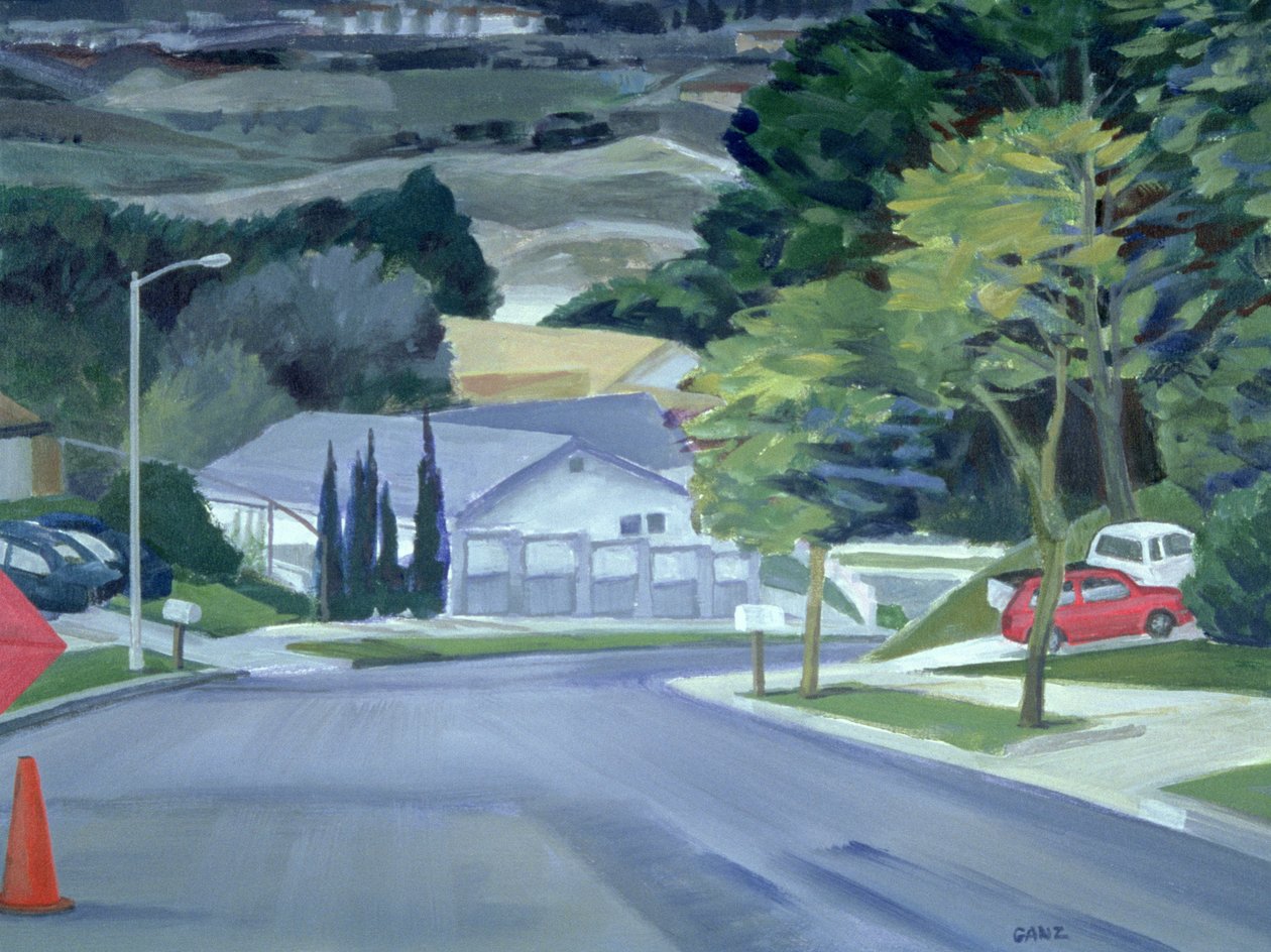 Blick auf meine Straße, 2000 von Howard Ganz