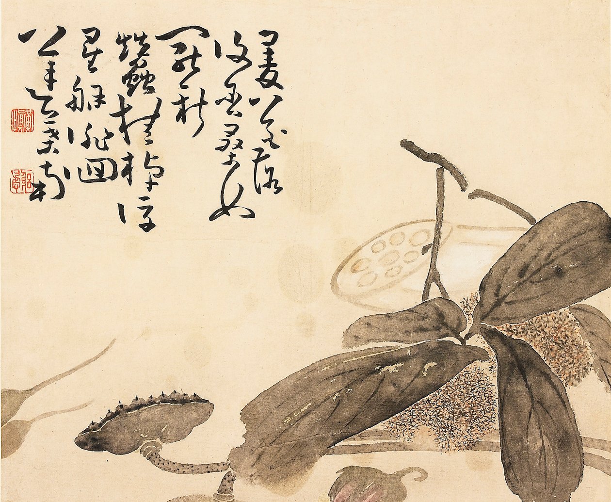 Bemaltes Albumblatt - Lotusblume, 18. Jahrhundert von Huang Shen