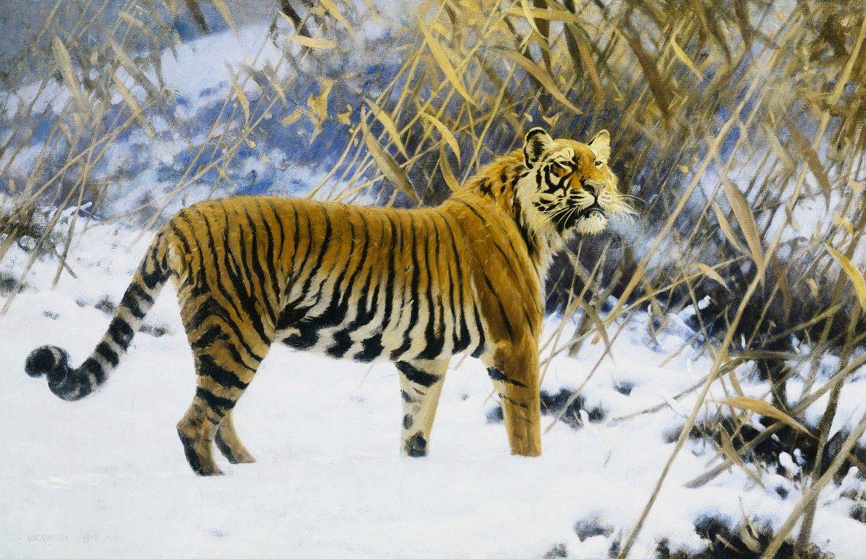 Tiger in einer Winterlandschaft von Hugo Ungewitter