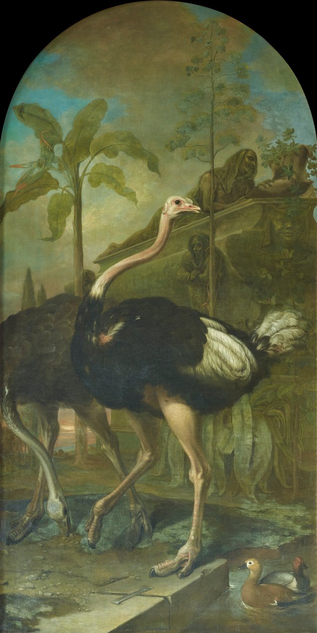 Ein Straußenpaar, im Hintergrund ein Sarkophag von Ignaz Heinitz von Heinzenthal