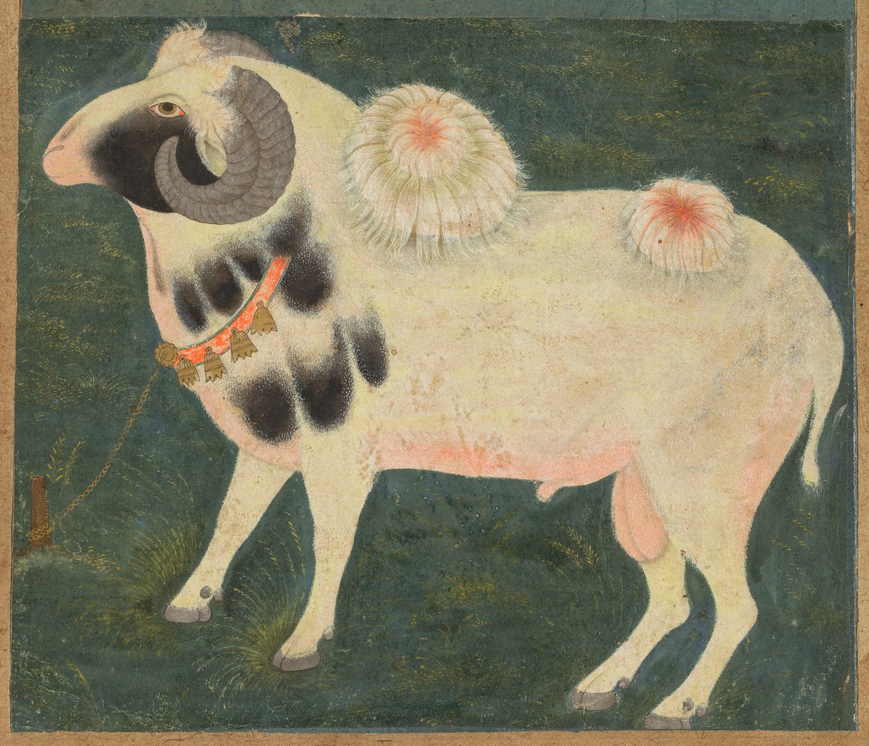 Ein königlicher Widder mit einer Goldkette, ca. 1585 von Indian School