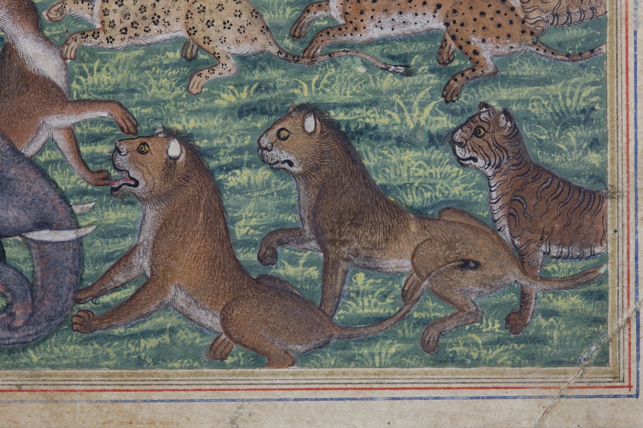 (Detail) Der Schakal, der sich selbst zum König erklärte, ca. 1560-65 von Indian School