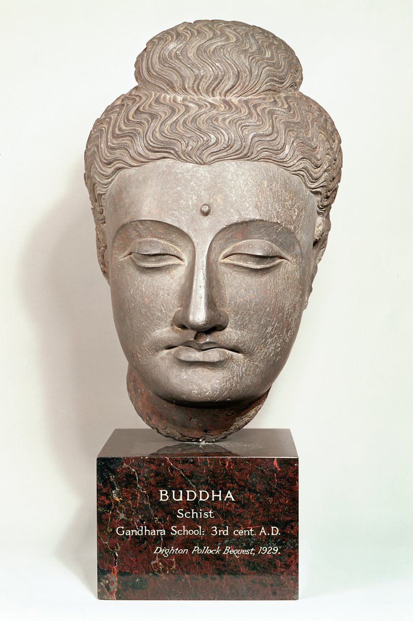 Kopf einer Buddha-Statue, aus Gandhara, Nordwestindien (grauer Schiefer) von Indian School