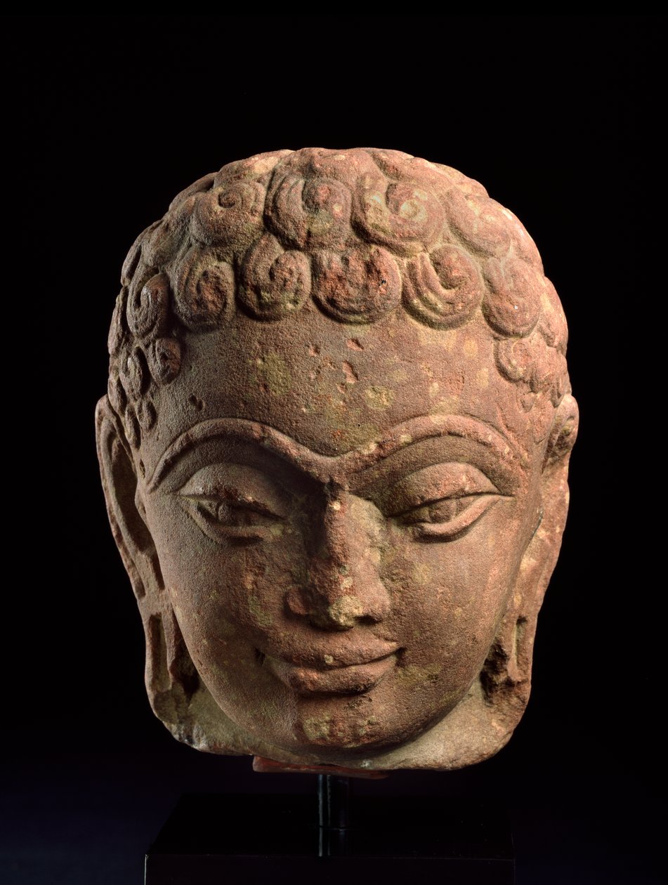 Kopf eines Jain-Tirthankara, Mathura-Region, Kushan-Periode, 3.-4. Jahrhundert n. Chr. von Indian School