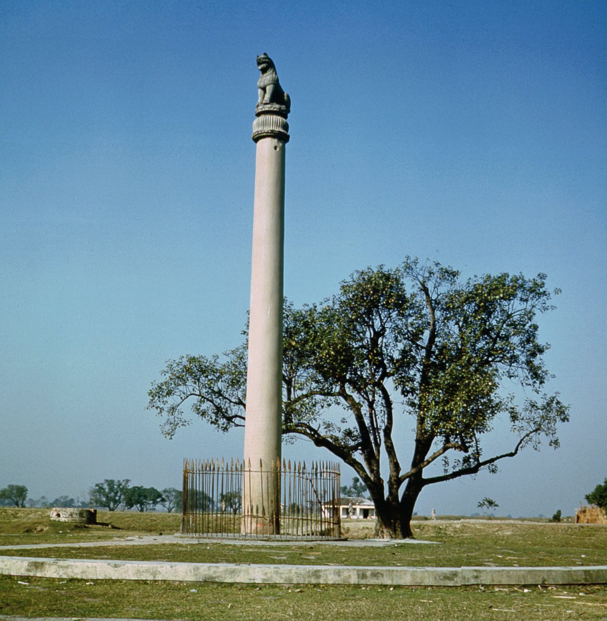 Löwensäule von Kaiser Ashoka (ca. 264-223 v. Chr.) von Indian School