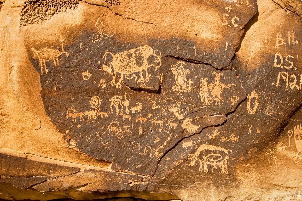 Ein Petroglyph auf einem Felsen mit einem Bison und einem weiteren trächtigen Bison bei Willow Bend, 2005 (Foto) von Ira Block