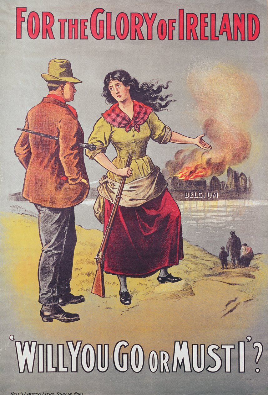 Für den Ruhm Irlands, 1866 von Irish School