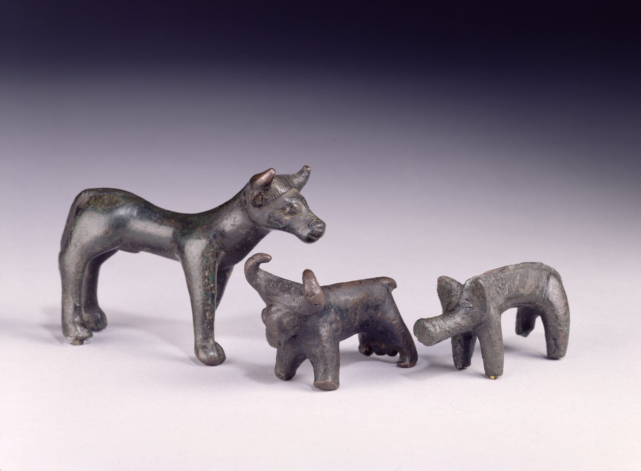 Zwei Stiere aus Ungarn und ein Eber aus der Gower-Höhle, Rhossilly, Südwales, Eisenzeit von Iron Age