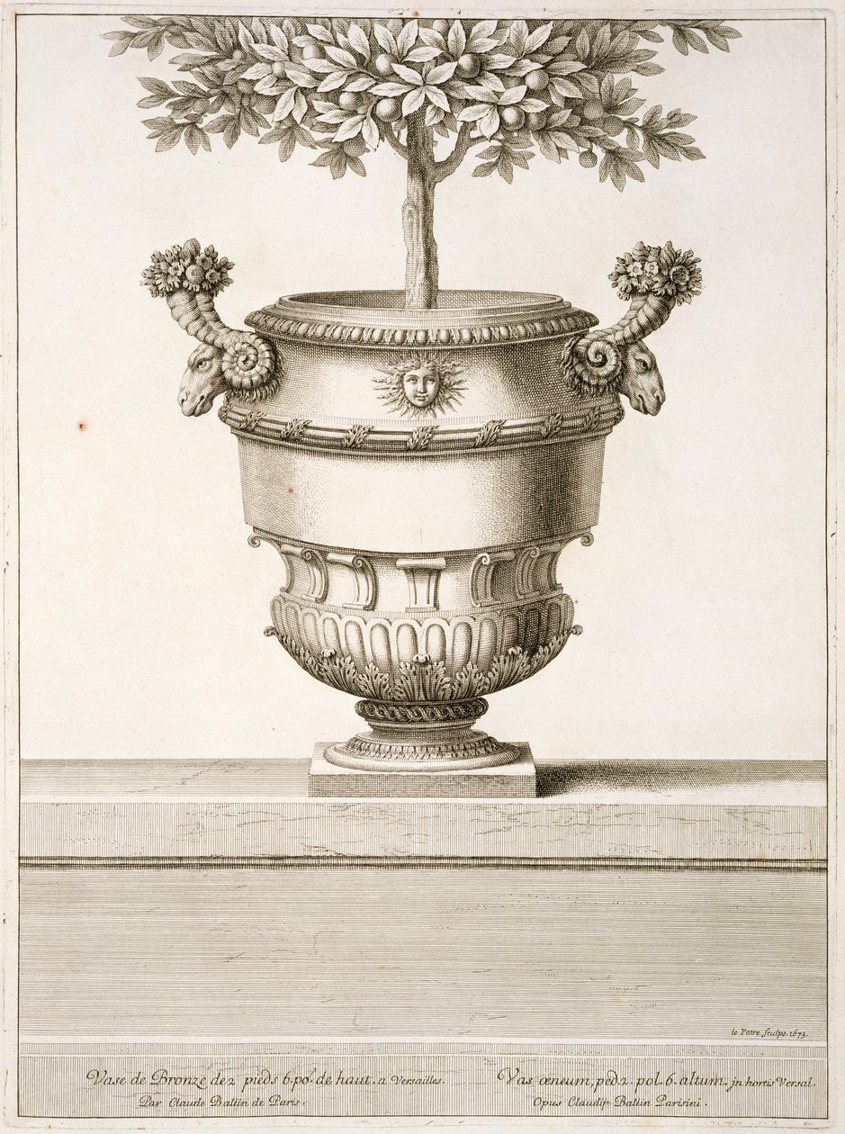 Bronzene Urnen für Zitrusbäume, Illustration aus 