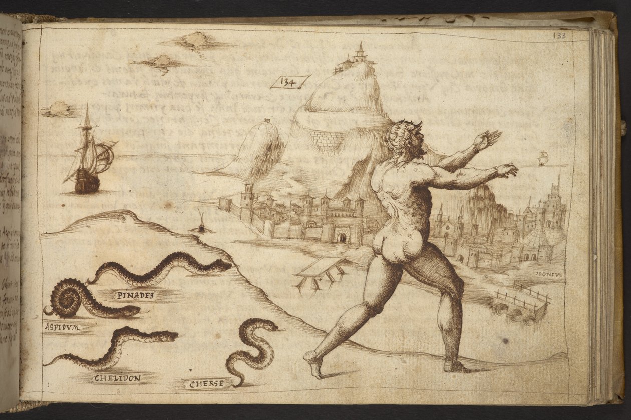 Schlangen verfolgen eine menschliche Figur, aus Historia Animalium, 1595 von Italian School