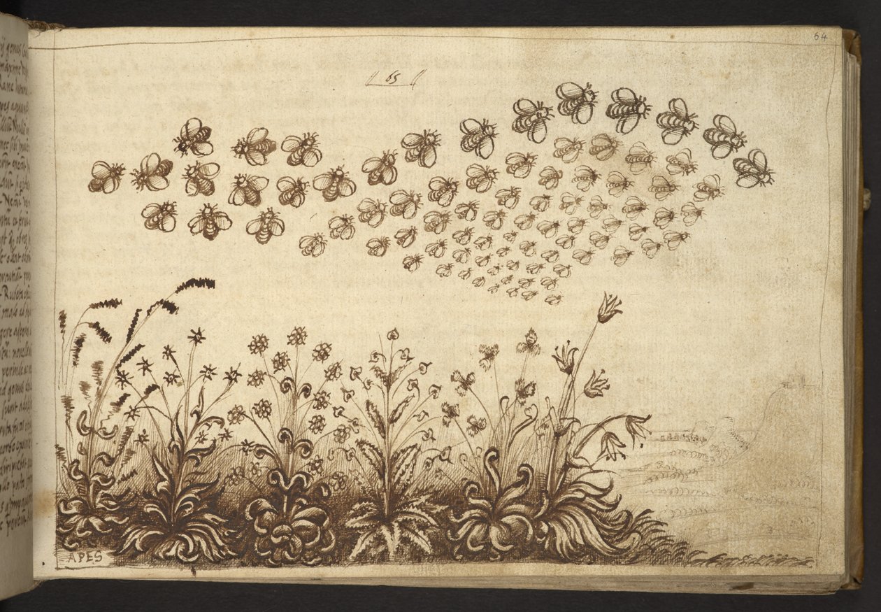 Bienen (