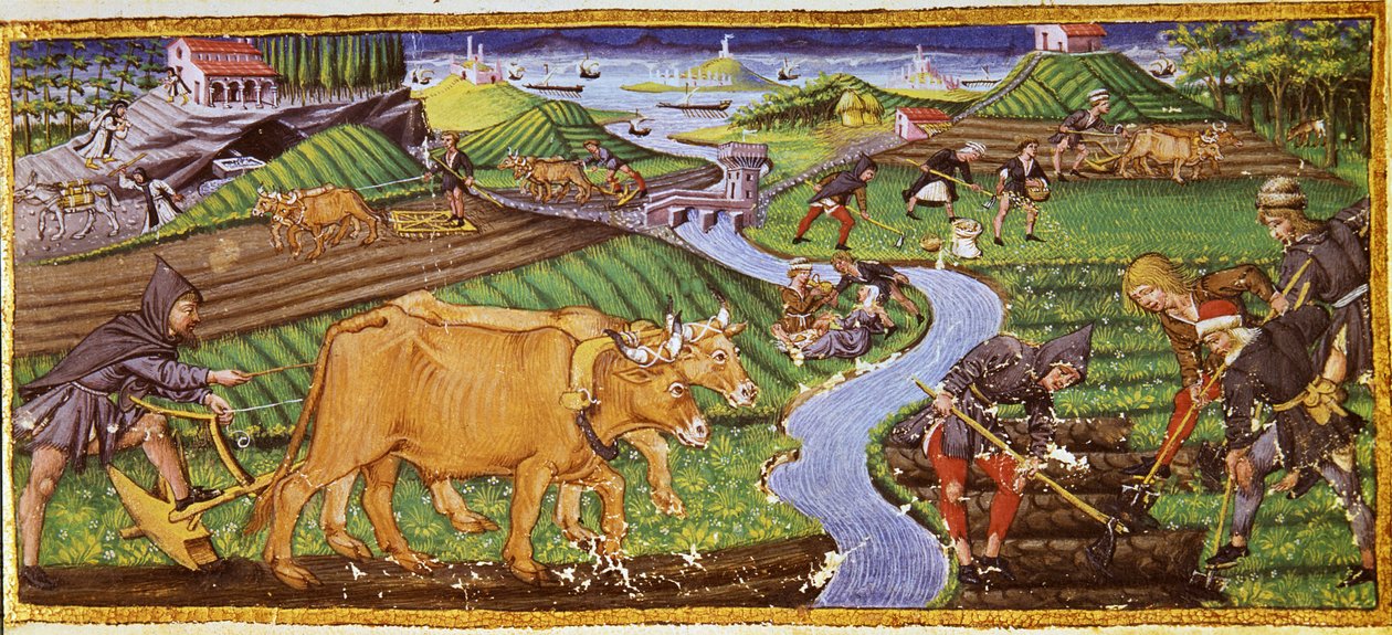 Landwirtschaft zu Beginn des 15. Jahrhunderts. Biblioteca Ricciardiana, Florenz von Italian School