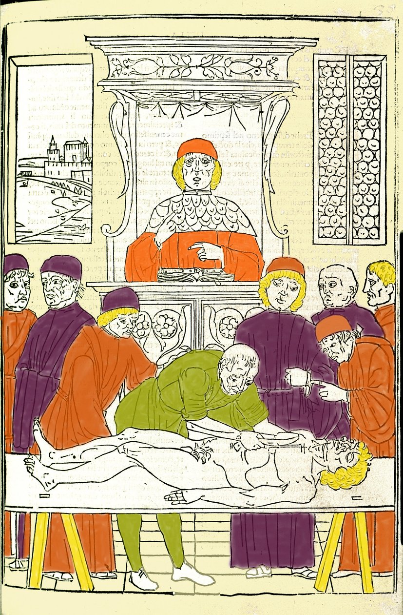 Anatomische Dissektion. Gravur aus einem medizinischen Traktat von Gerolamo Cardano, Florenz von Italian School