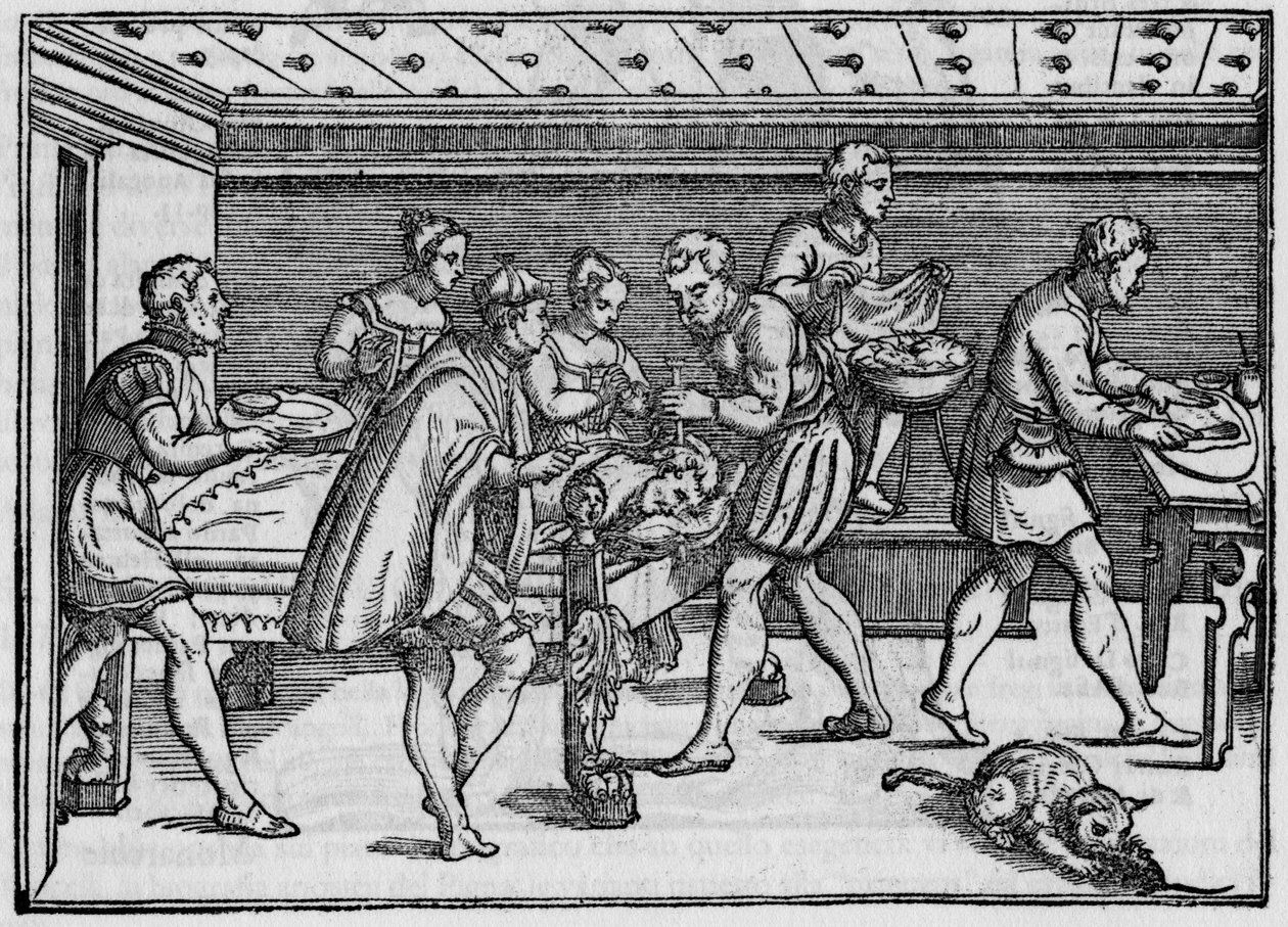 Gravur von 1574 in „Della Cirurgia“ (Über die Chirurgie) von Giovanni Andrea dalla Croce, italienischer Chirurg. von Italian School
