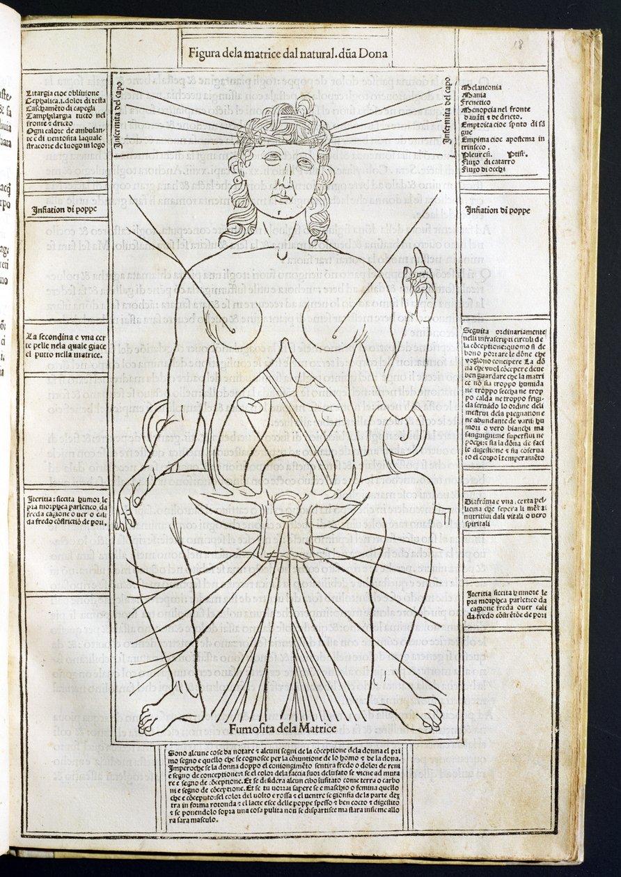 Weibliche Anatomie aus Fasciculus Medicinae von Johannes de Ketham (gest. um 1490) um 1507 von Italian School