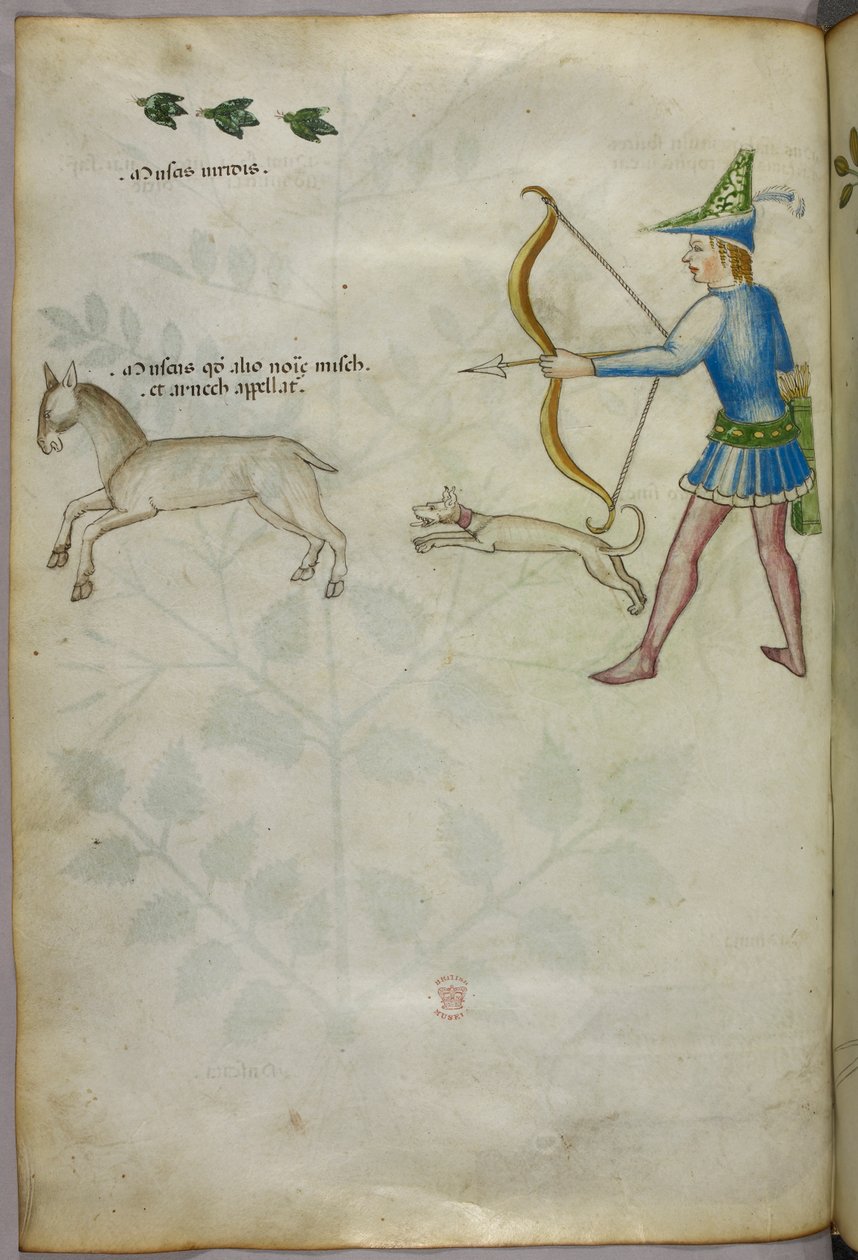 Illustration eines Mannes mit einem Bogen, der auf ein Tier schießt, mit einem Hund und Vögeln darüber, um 1440 von Italian School