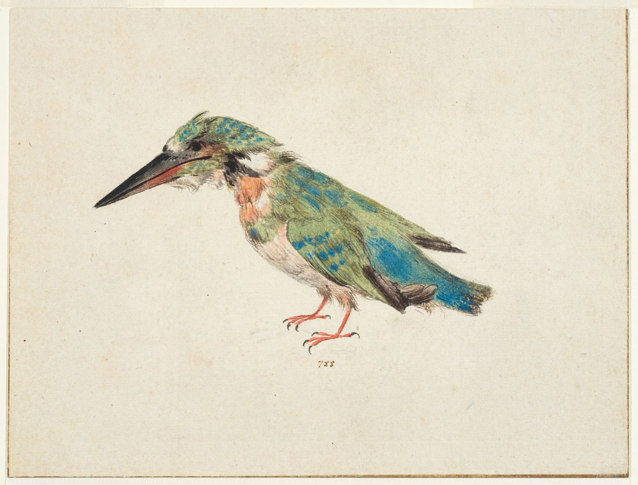 Eisvogel von Italian School