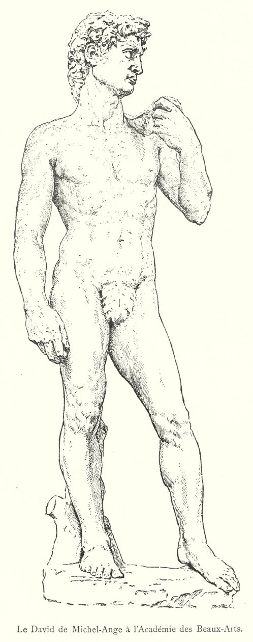 Der David von Michelangelo an der Akademie der Schönen Künste (Gravur) von Italian School