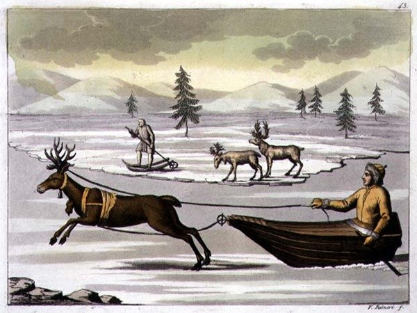 Männliches und weibliches Rentier und ein Lappländer auf seinem Schlitten, gezogen von einem Rentier, Tafel 43 aus 