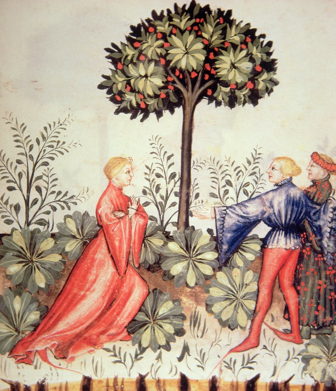 Nova 2644 fol.24r Senfernte, aus Tacuinum Sanitatis von Italian School