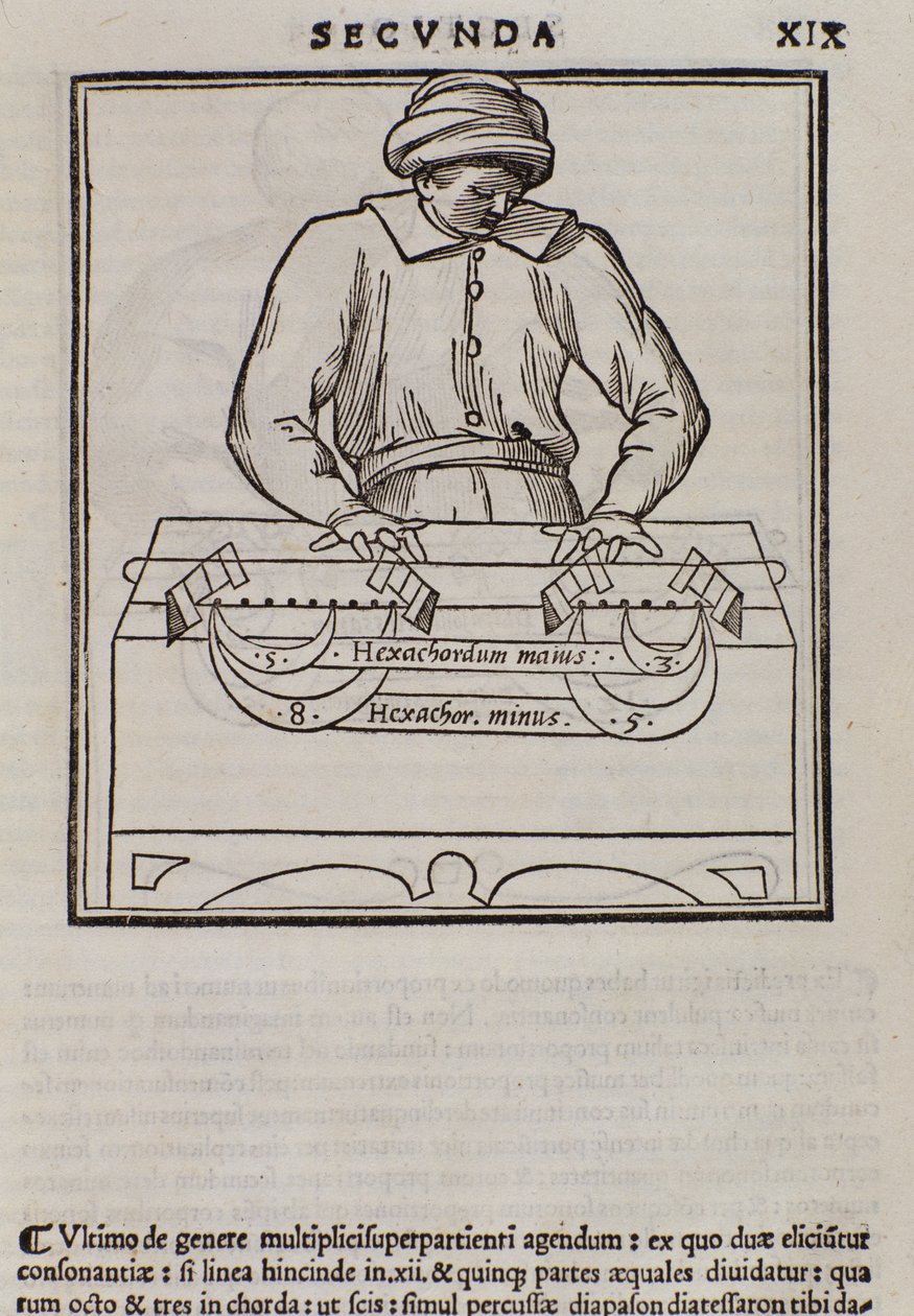 Seite aus Musica theorica von Lodovico Fogliani (1475?-1542) (oder Ludovico Foliani), Musiktheoretiker von Italian School