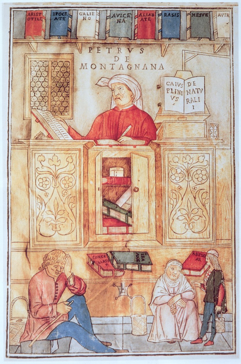 Petrus de Montagnana, Illustration aus 