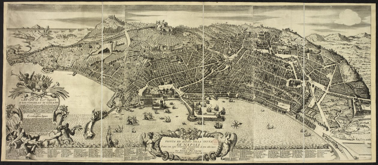 Plan und Aufriss der Stadt Neapel ... von P. Petrini. Neapel von Italian School