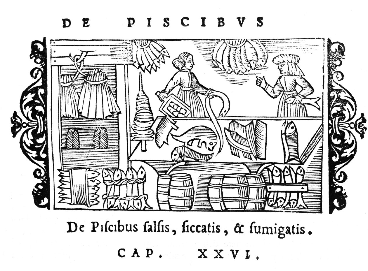 Salzen, Trocknen und Räuchern von Fisch, Illustration aus Historia de Gentibus Septentrionalibus von Olaus Magnus (1490-1558), veröffentlicht in Rom, 1555 von Italian School