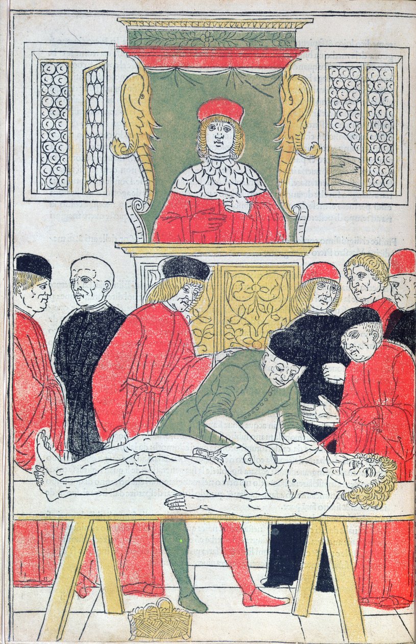 Die Sektion, Illustration aus 
